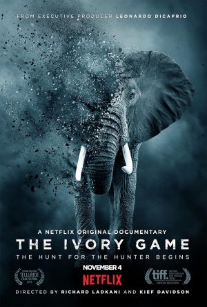 The Ivory Game