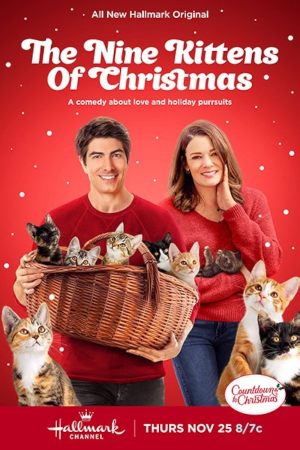 Neuf Chatons pour Noël