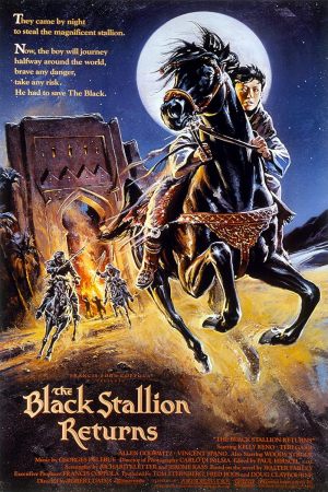 Le retour de l'étalon noir