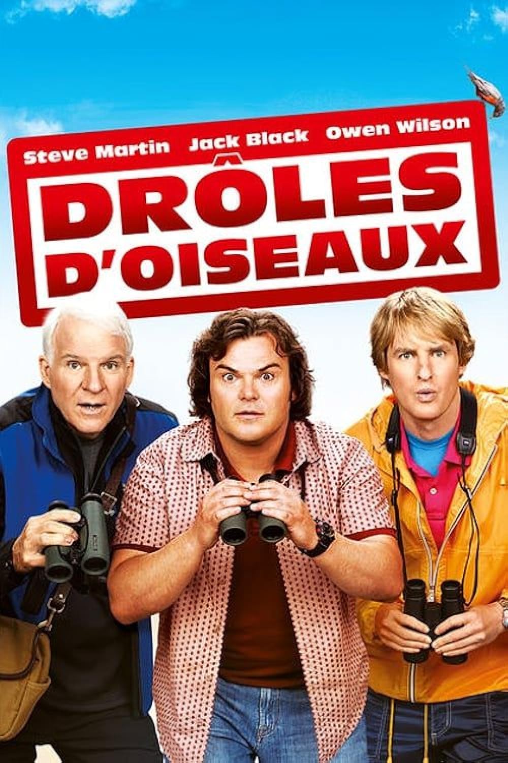 Drôles d'oiseaux