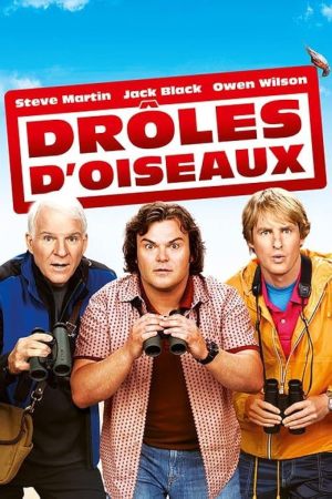 Drôles d'oiseaux