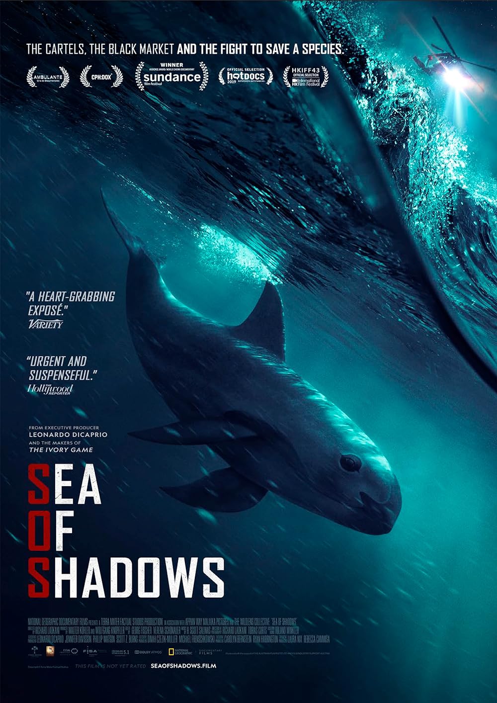 Sea of Shadows background