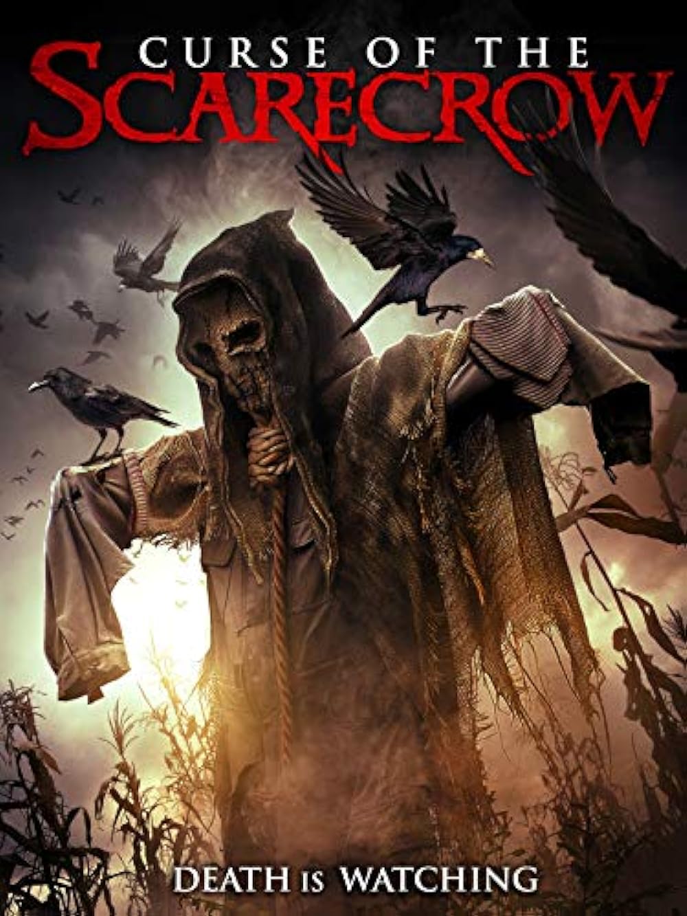 Curse of the Scarecrow background
