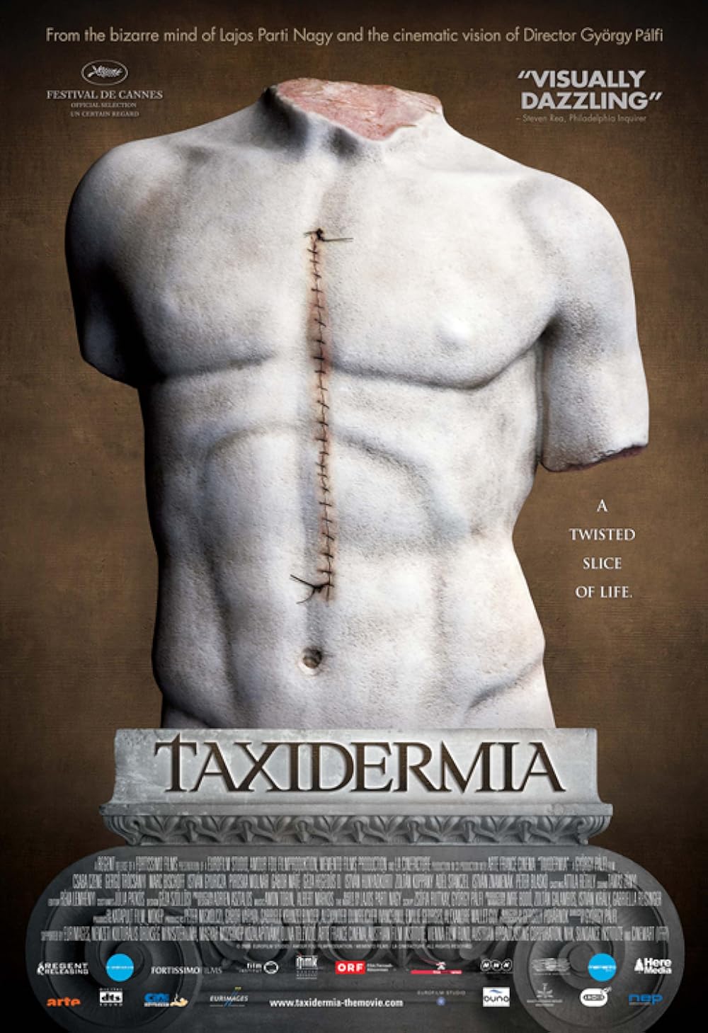 Taxidermie