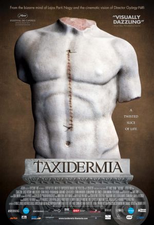 Taxidermie