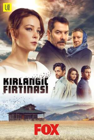 Kirlangiç Firtinasi
