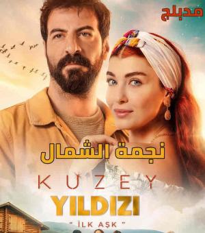 Kuzey Yildizi