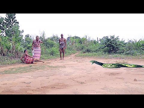 Lorphelin A Failli Être Mordu Par Le Serpent Venimeux Mais Sauvé Au Bon Moment Par Le Prince-Africa