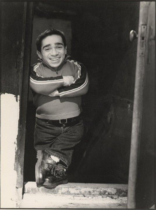 actor David Steinberg large photo