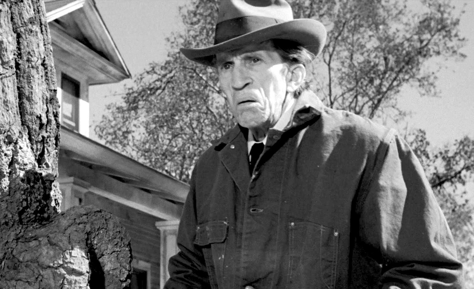 actor Richard Hale large photo