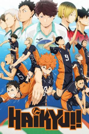 Haikyu!! [Hindi] S1-S4 - 123Movies