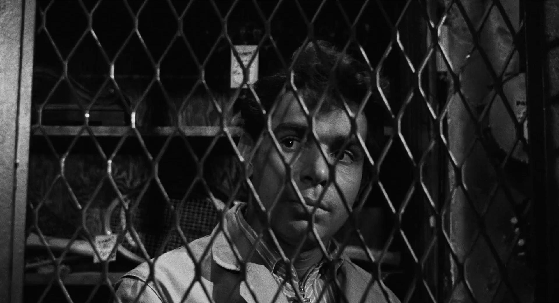 actor Jaime Sanchez large photo