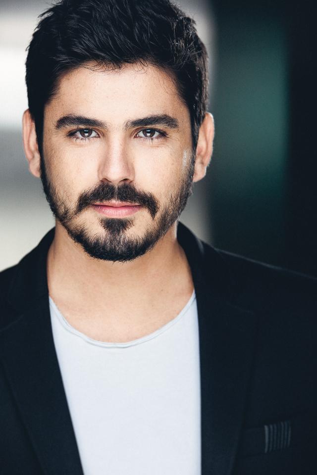 actor Hans Van Harken large photo