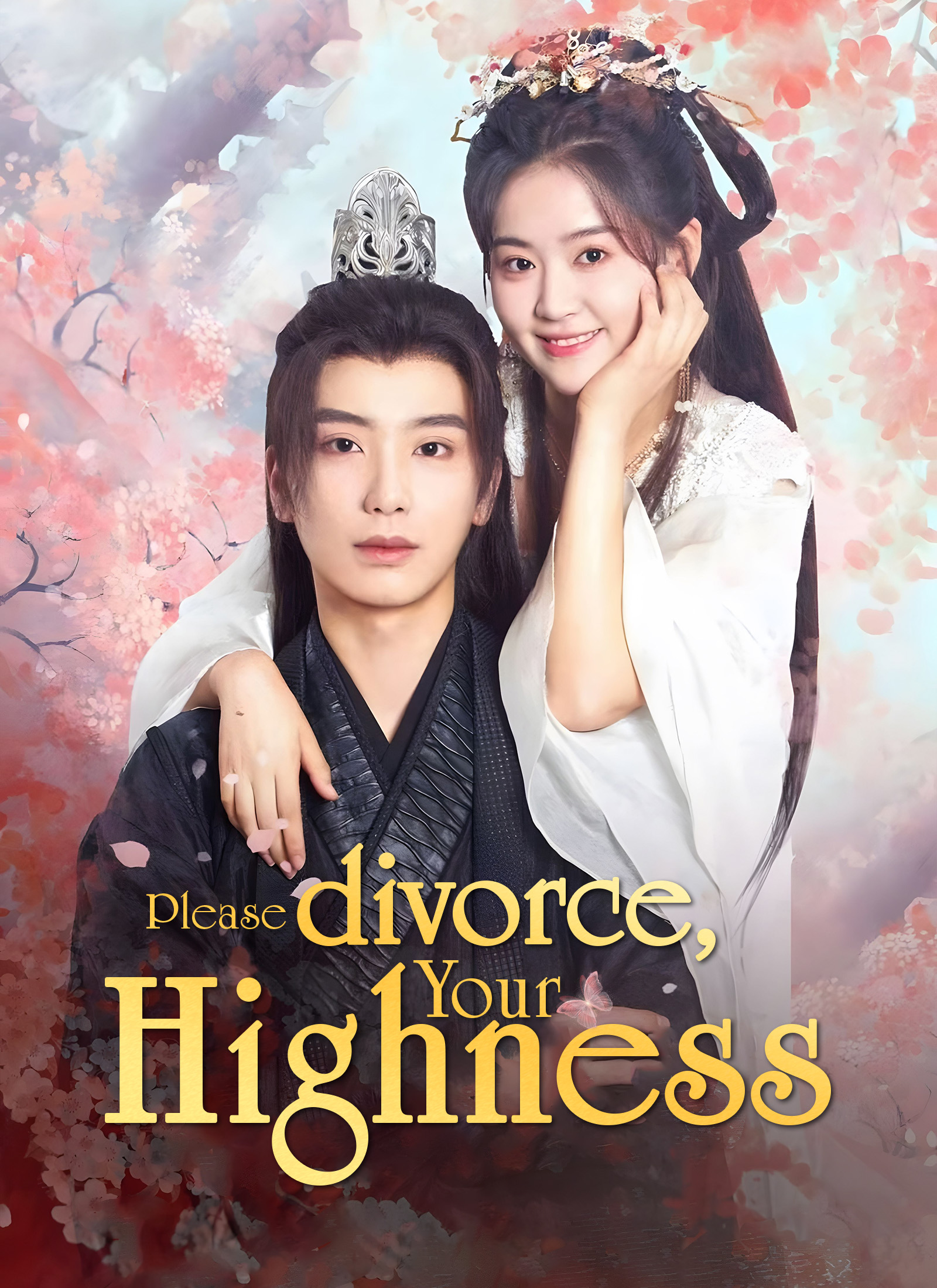 Please divorce, Your Highness. poster