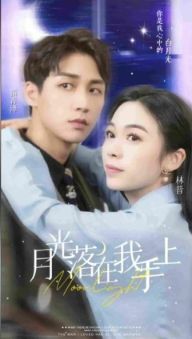 The moon fell on my hands poster