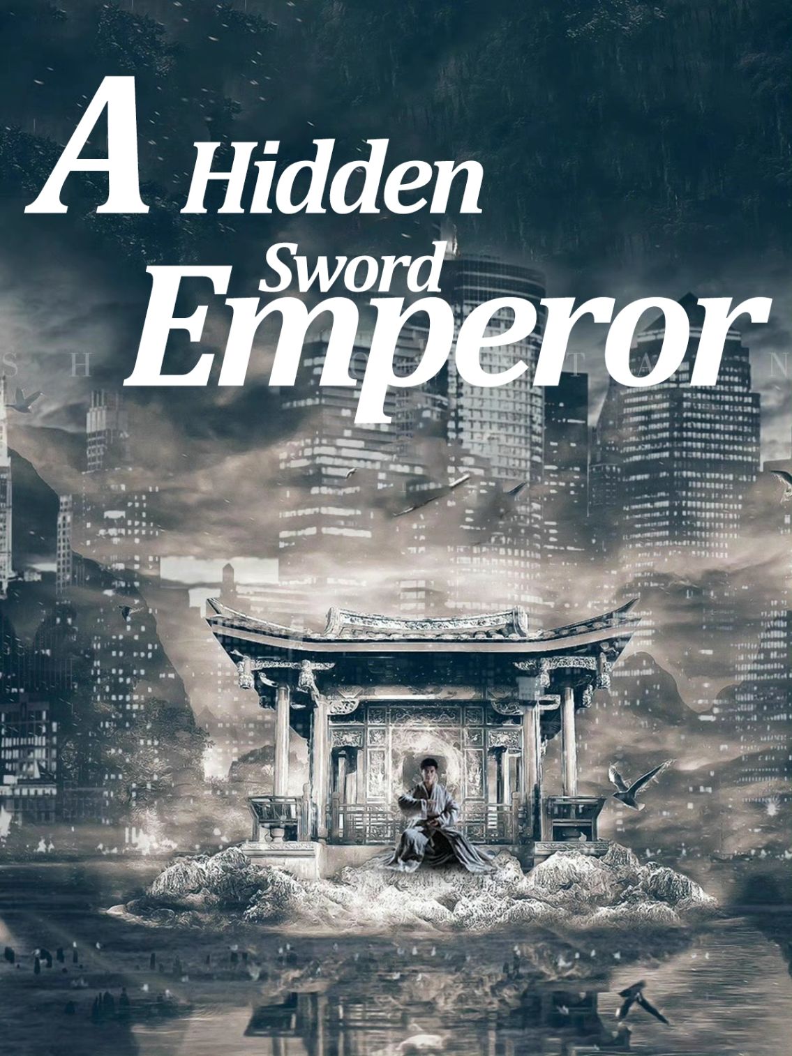 A Hidden Sword Emperor poster
