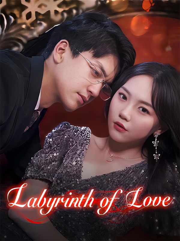 Labyrinth of Love poster
