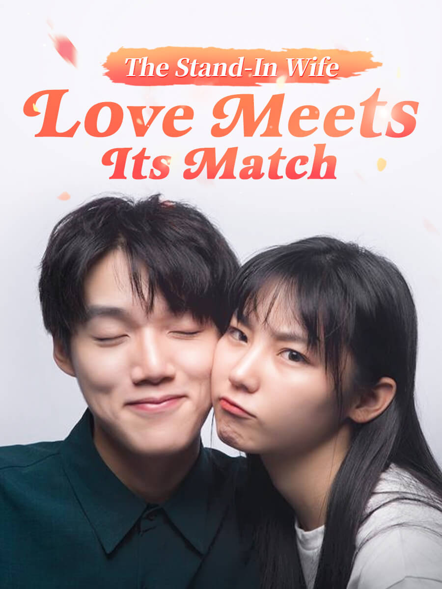 The Stand-In Wife: Love Meets Its Match poster