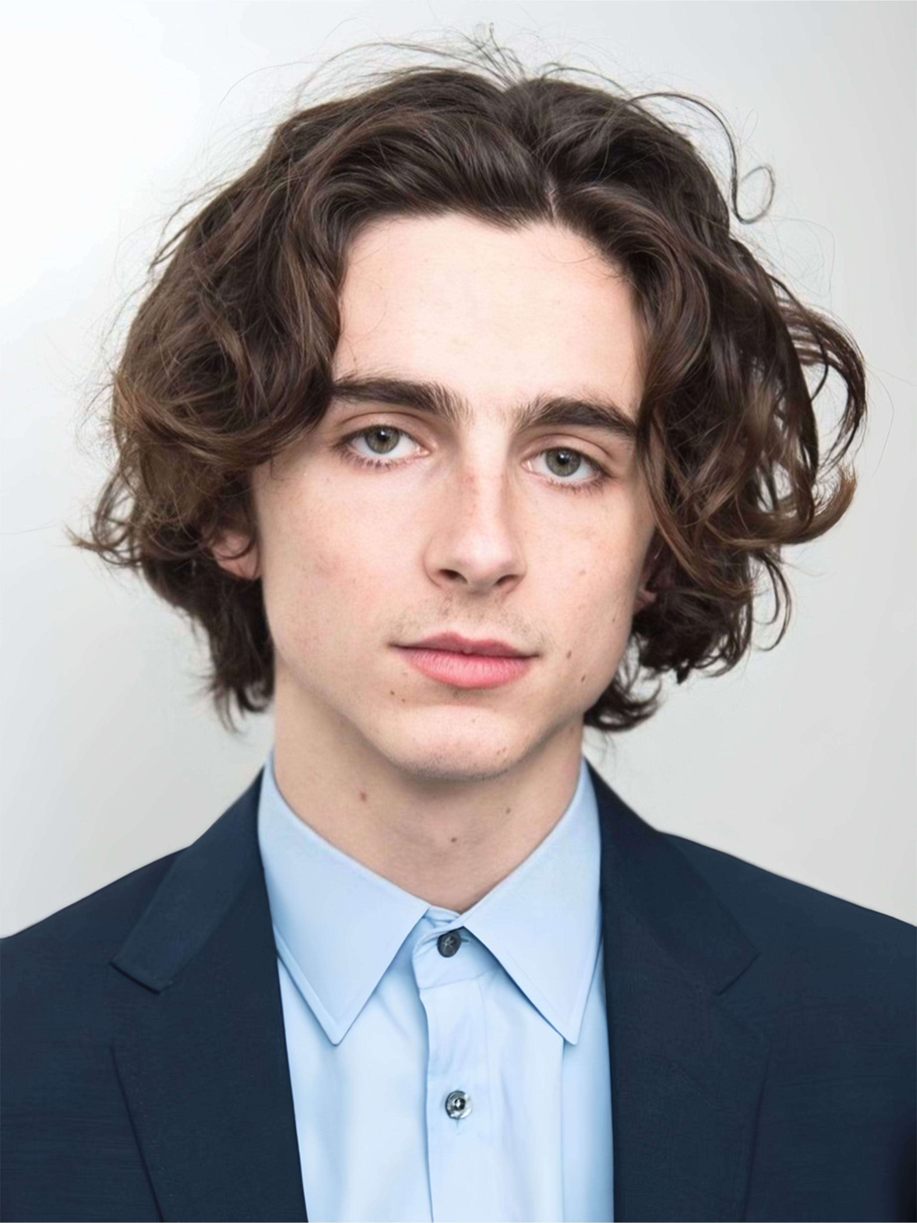 actor Timothée Chalamet large photo