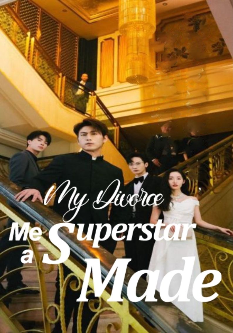 My Divorce Made Me a Superstar poster