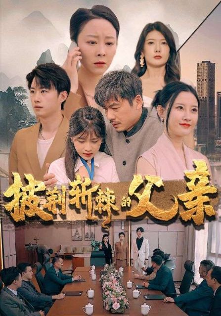 The Hardworking Father poster