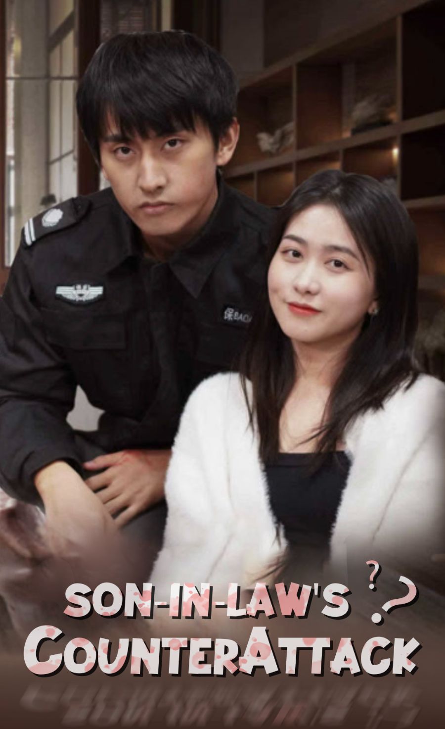 Son-in-law's counterattack poster