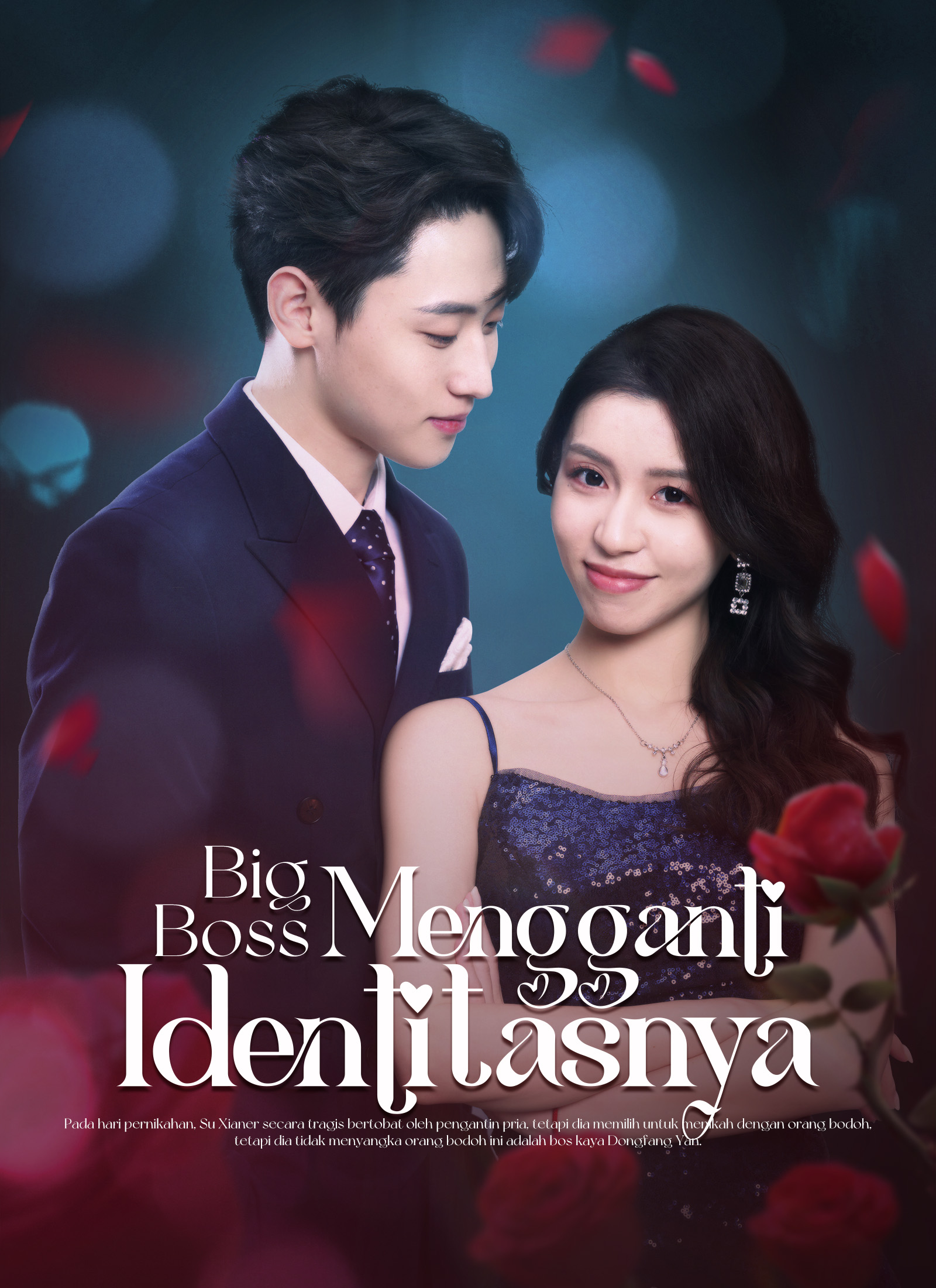 My SILLY Husband poster