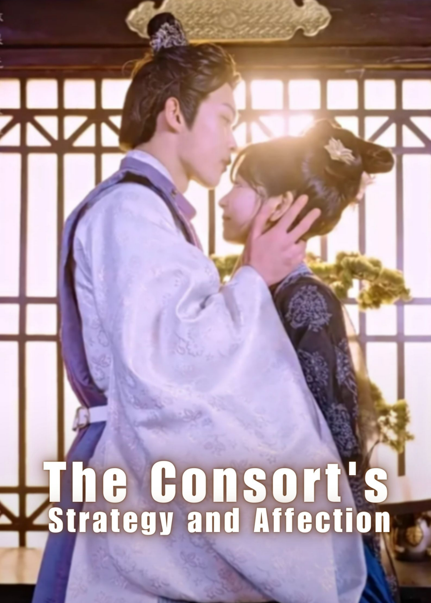 The Consort's Strategy and Affection poster