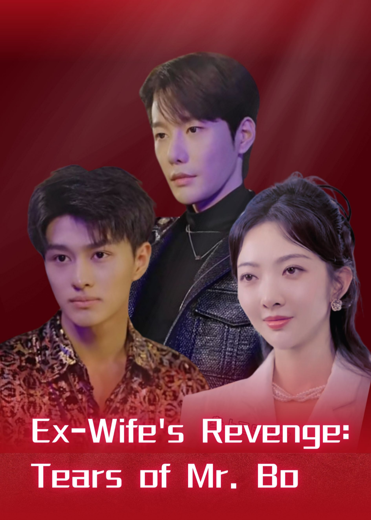 Ex-Wife's Revenge: Tears of Mr. Bo poster