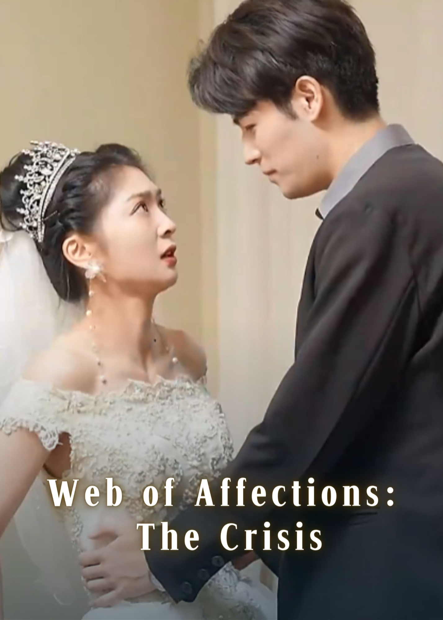 Web of Affections: The Crisis poster
