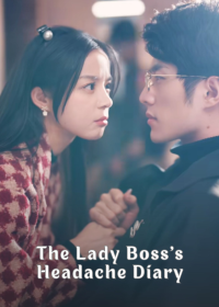 The Lady Boss's Headache Diary