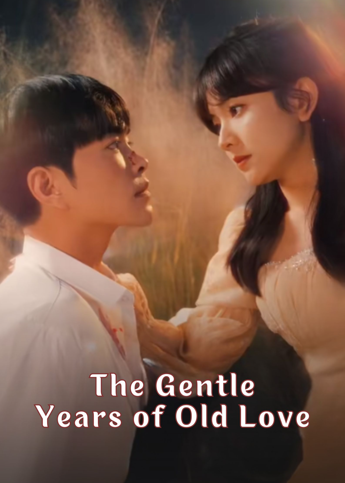 The Gentle Years of Old Love poster