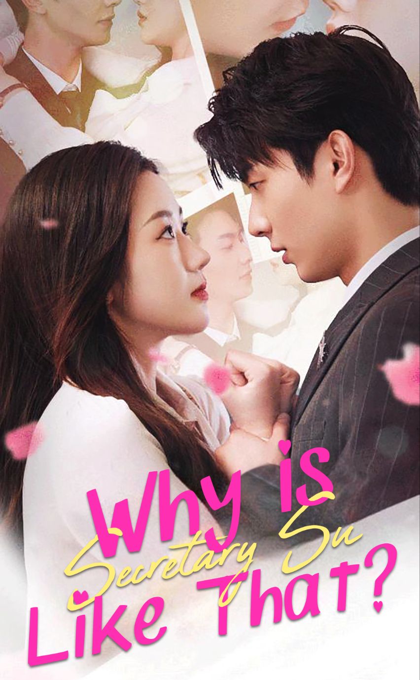 Why Is Secretary Su Like That? poster