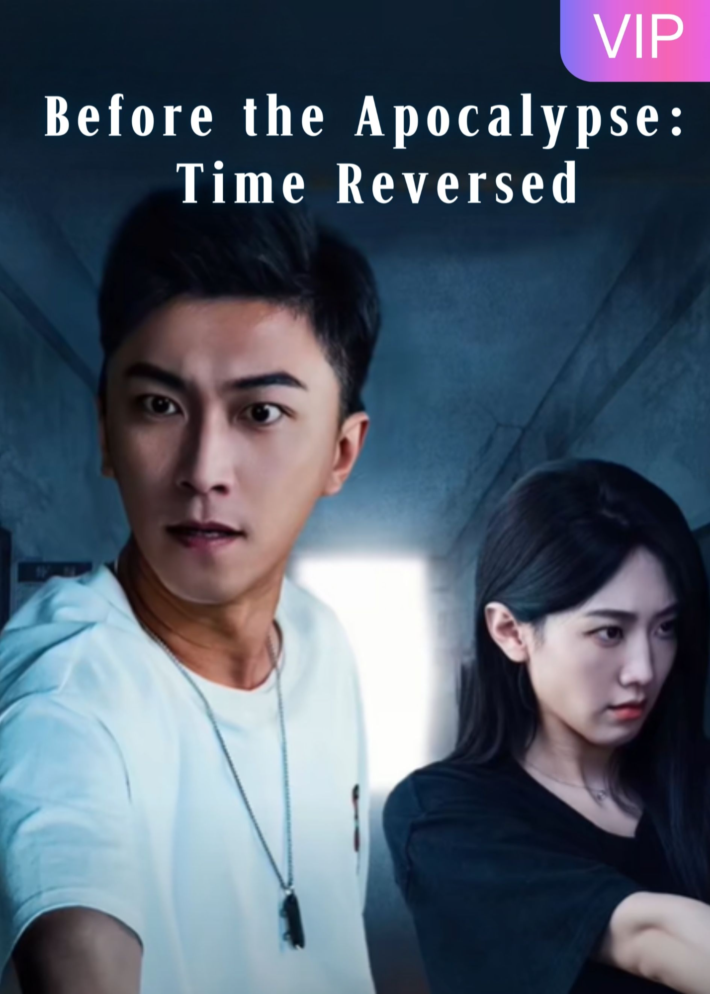 Before the Apocalypse: Time Reversed poster