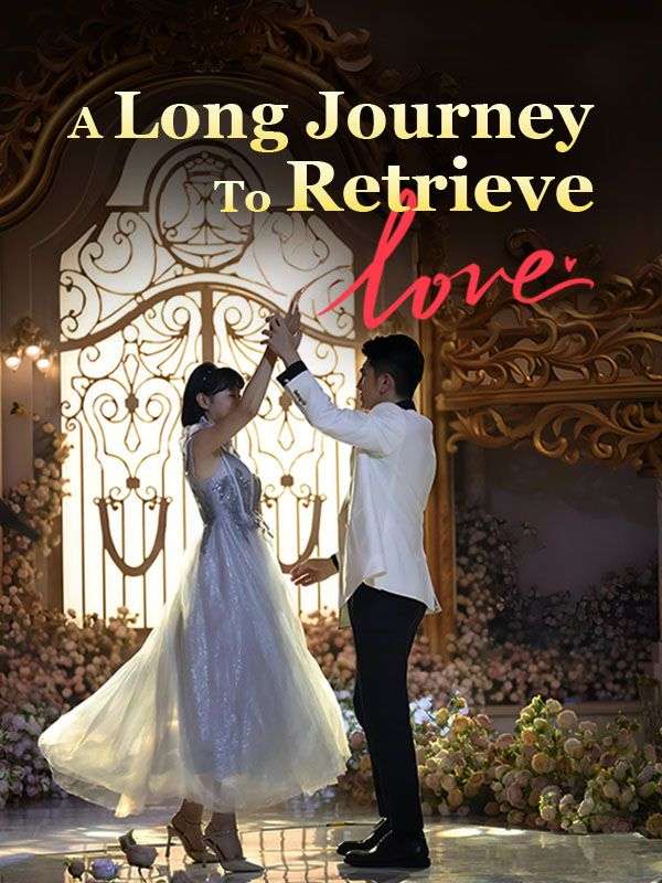 A Long Journey To Retrieve Love poster