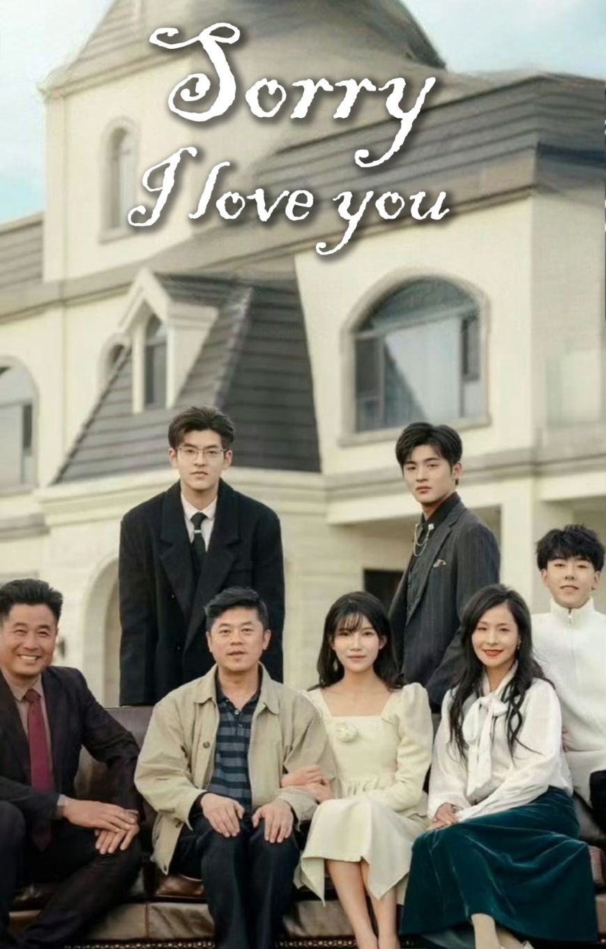 Sorry, I Love You poster