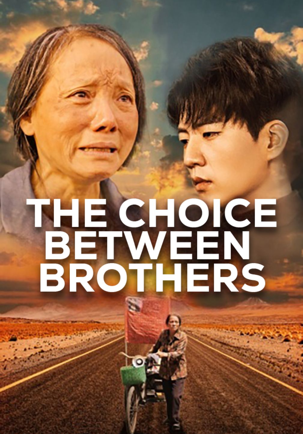 The Choice Between Brothers poster