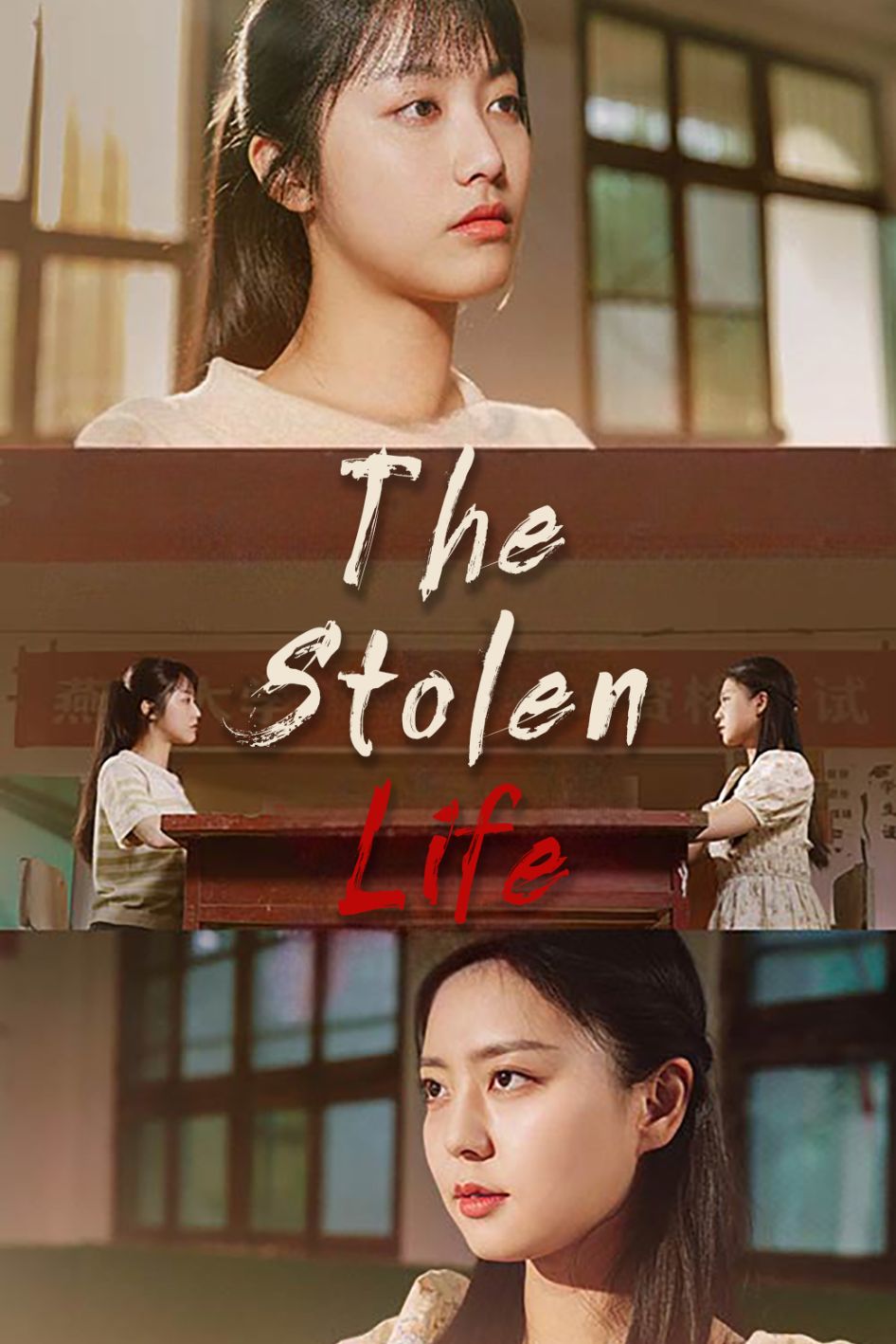 The Stolen Life poster