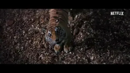 Trailer thumbnail
