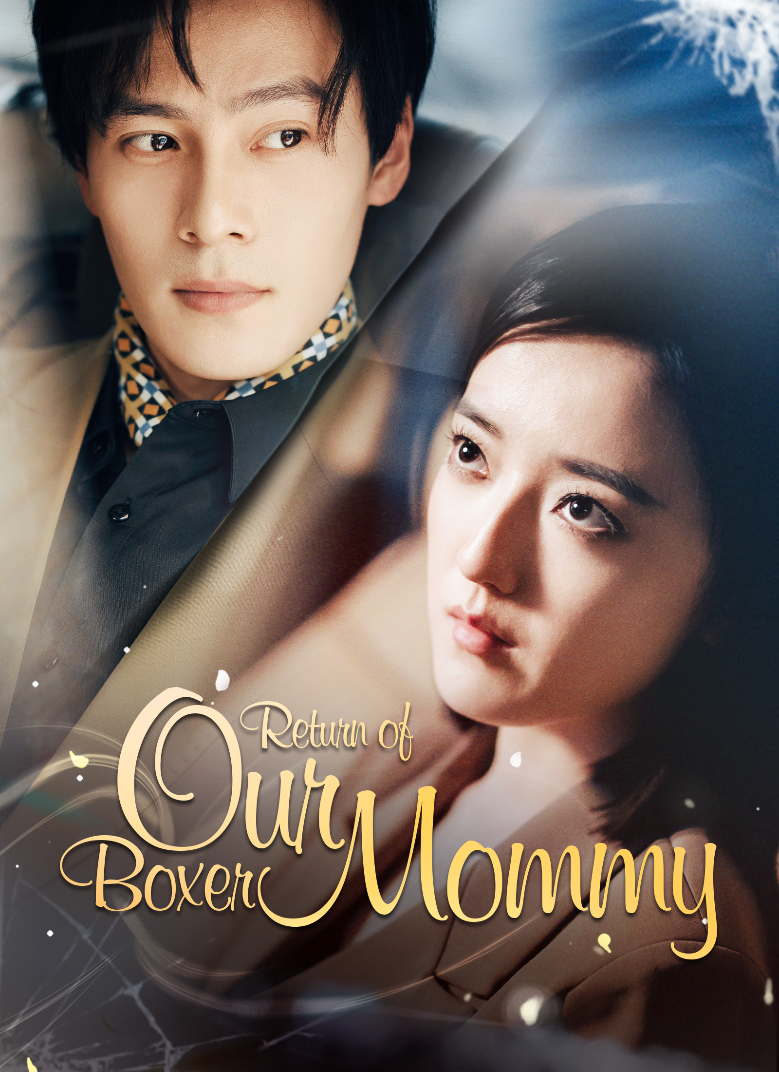 Return of Our Boxer Mommy poster
