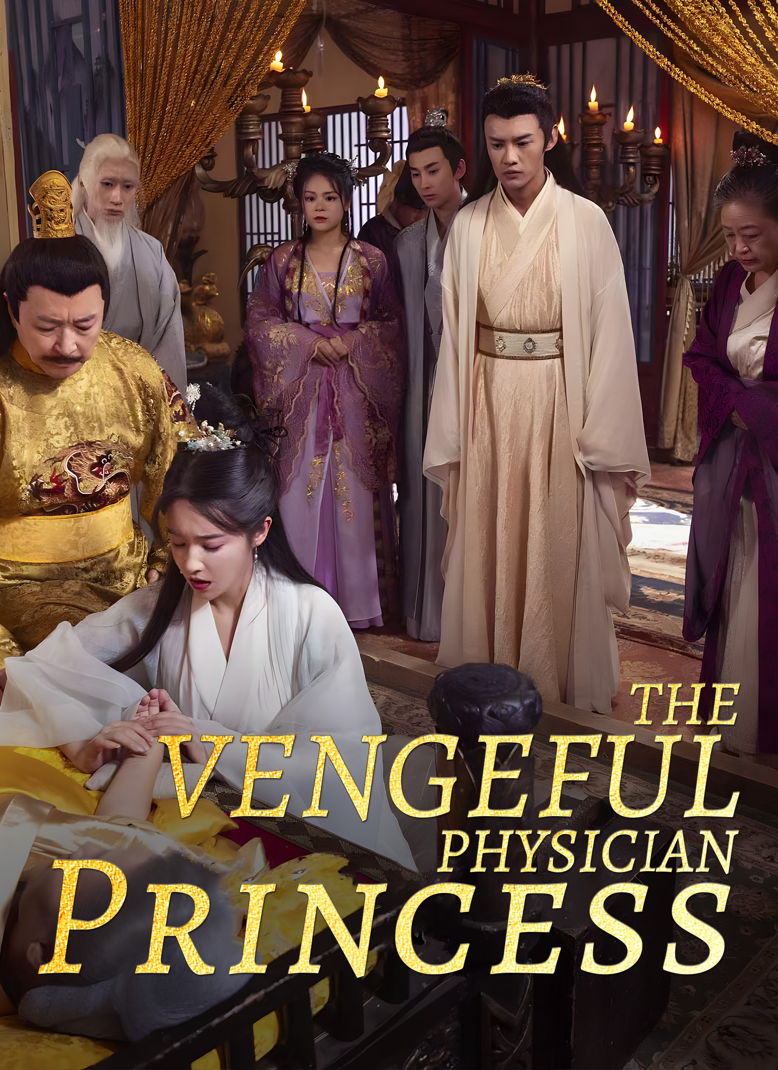 The Vengeful Physician Princess poster