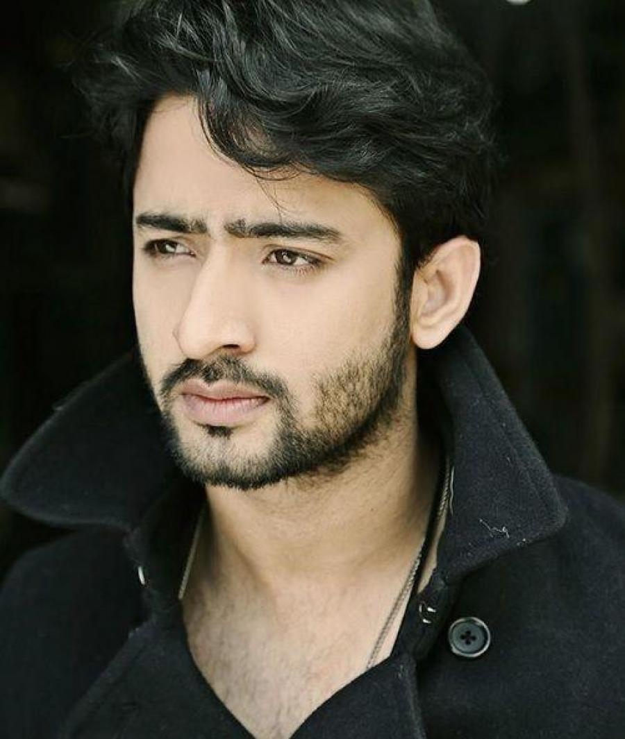 actor Shaheer Sheikh large photo