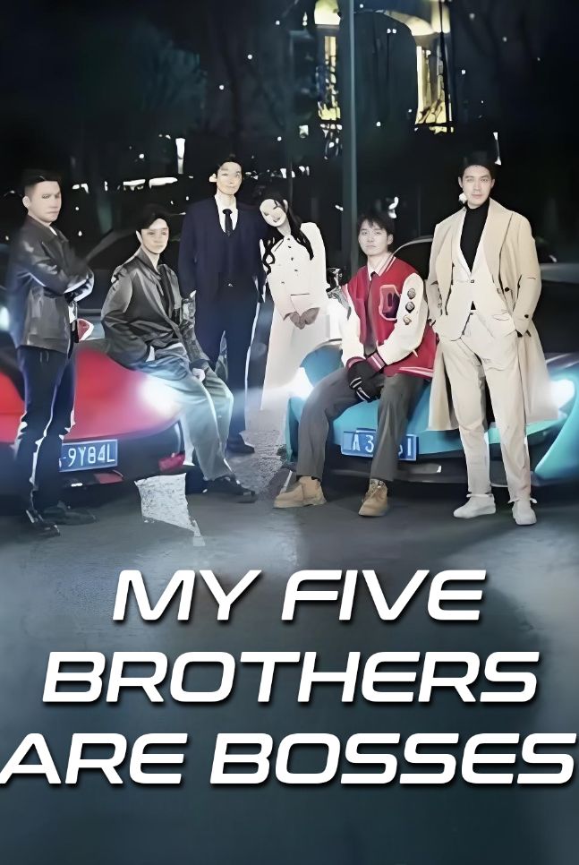 My Five Brothers Are Bosses poster