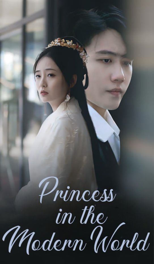 Princess in the Modern World poster