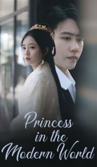 Princess in the Modern World