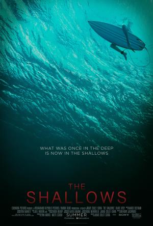 The Shallows [Hindi]