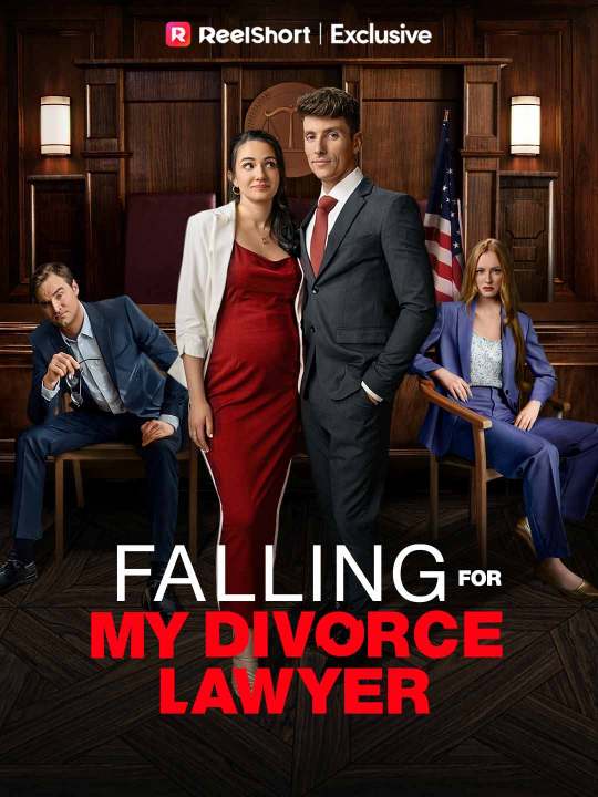 Falling for My Divorce Lawyer