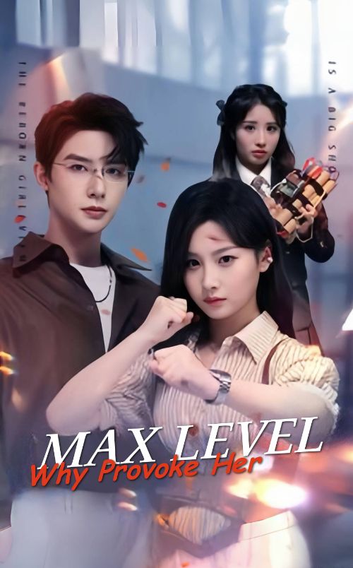 Max Level, Why Provoke Her poster