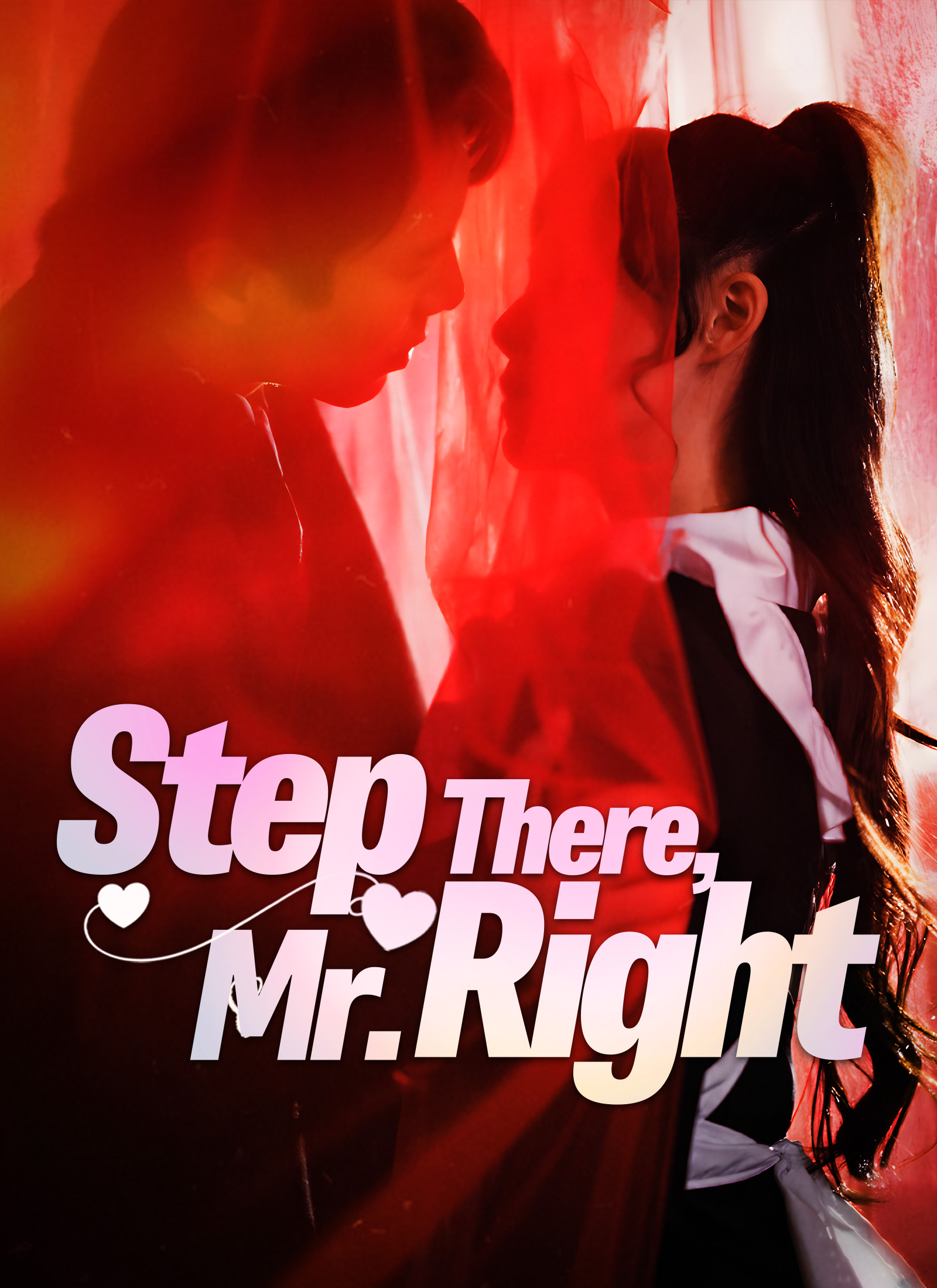 Step There, Mr. Right poster