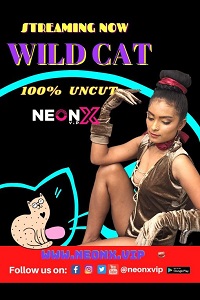 Wild Cat